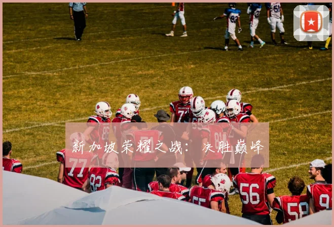 新加坡荣耀之战：决胜巅峰
