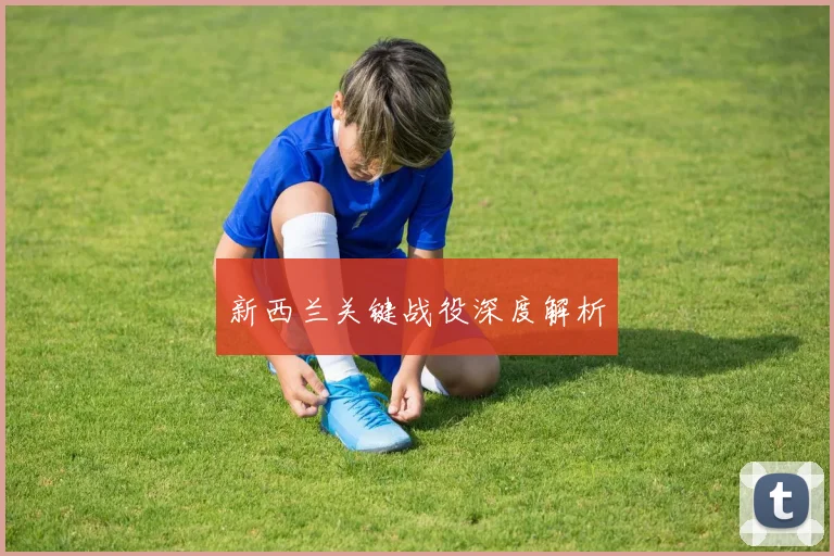新西兰关键战役深度解析