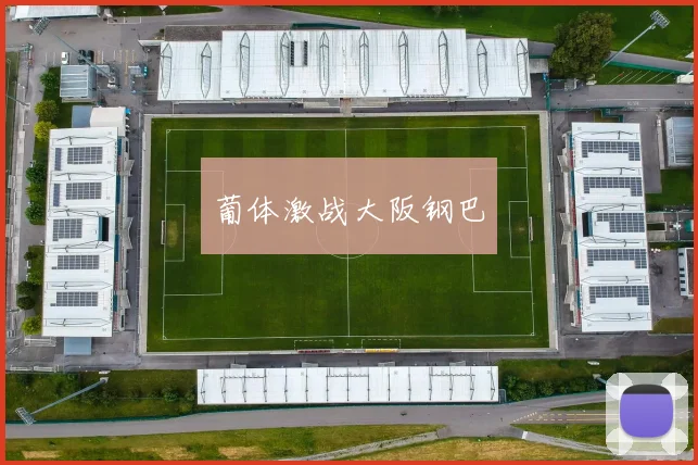 葡体激战大阪钢巴