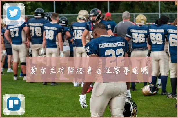 爱尔兰对阵格鲁吉亚赛事前瞻