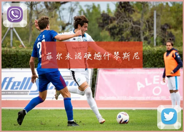 菲尔米诺硬撼什琴斯尼