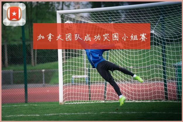 加拿大团队成功突围小组赛