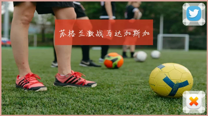 苏格兰激战马达加斯加