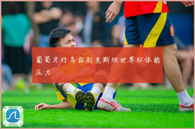 葡萄牙对乌兹别克斯坦世界杯体能压力