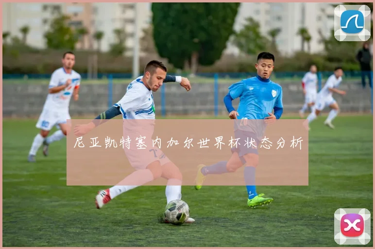 尼亚凯特塞内加尔世界杯状态分析