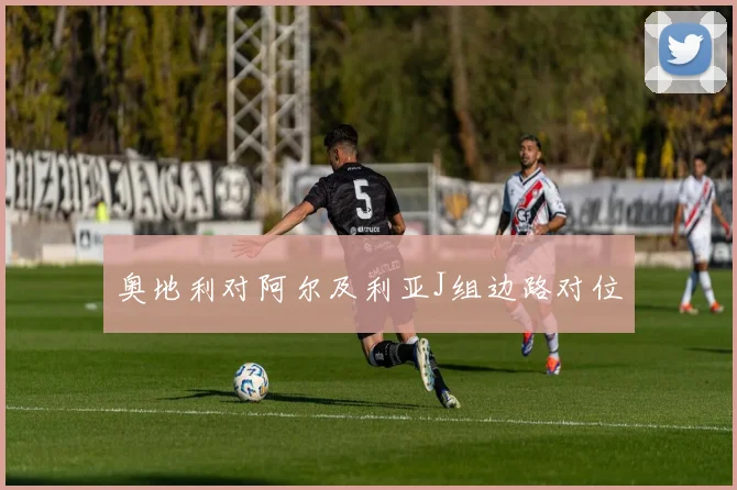 奥地利对阿尔及利亚J组边路对位