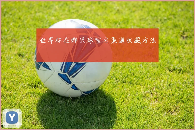 世界杯在哪买球官方渠道收藏方法