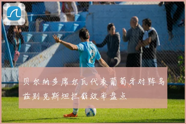 贝尔纳多席尔瓦代表葡萄牙对阵乌兹别克斯坦拦截效率盘点