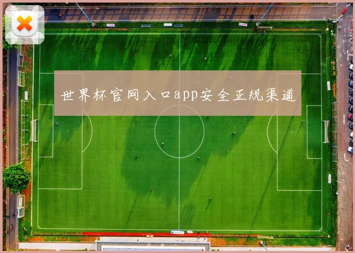 世界杯官网入口app安全正规渠道