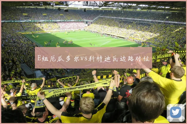 E组厄瓜多尔vs科特迪瓦边路对位