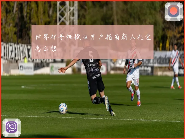 世界杯手机投注开户指南新人礼金怎么领