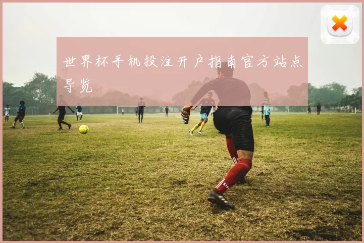 世界杯手机投注开户指南官方站点导览